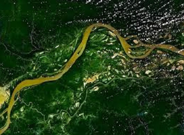 10 faits Prouvés sur la forêt amazonienne 7