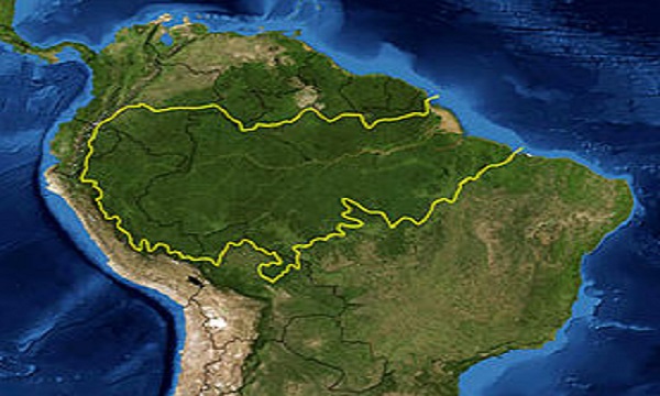 10 faits Prouvés sur la forêt amazonienne