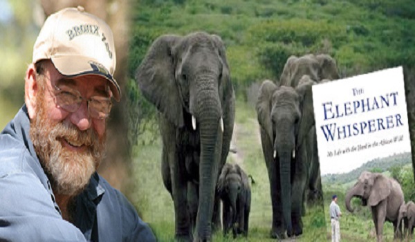 10Faits Surprenants sur les Eléphants que Vous ne Savez Pas 4