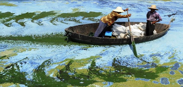 Lac polluée Chine