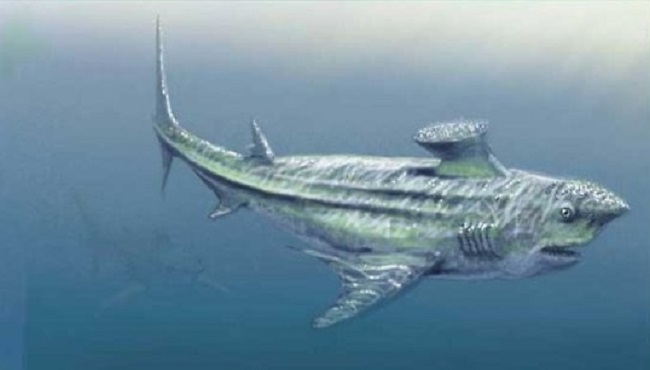 Requin Prehistorique