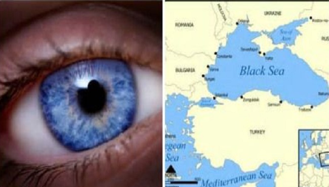 les yeux bleus connecté avec la mer noire