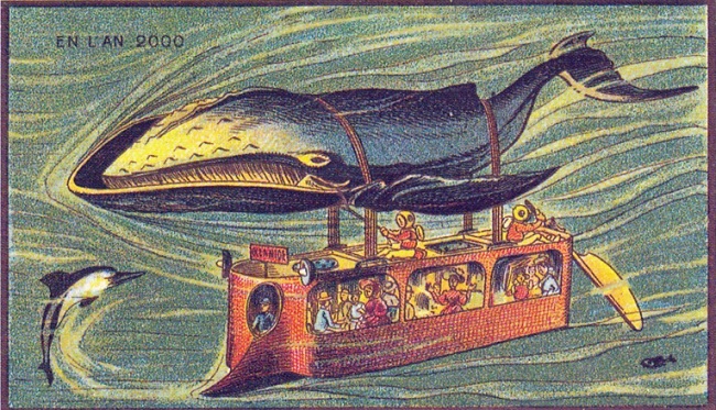Baleine bus