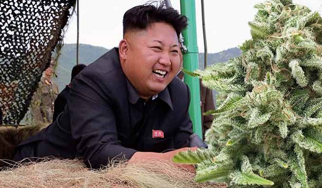 Le cannabis légal en Corée du Nord