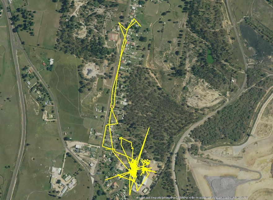 GPS traque chat parcourant 3 kilomètres