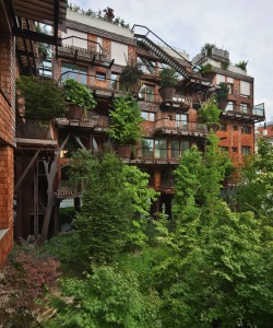 Verde treehouse en Italie à Turin