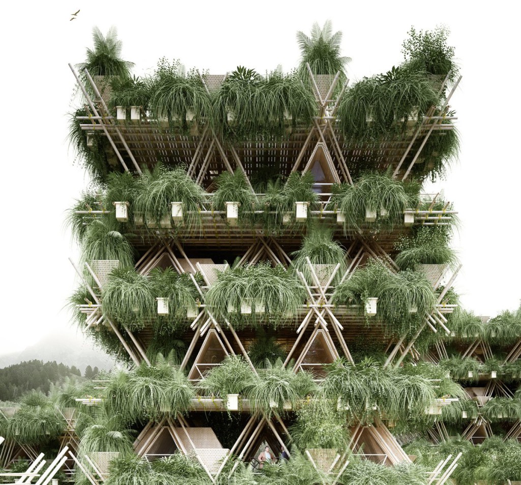 Plan de la treehouse en bambou
